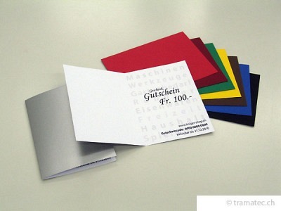 Geschenk-Gutschein Fr. 100.-