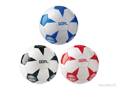 Mondo Ball/Soccer Goal Gr. 5