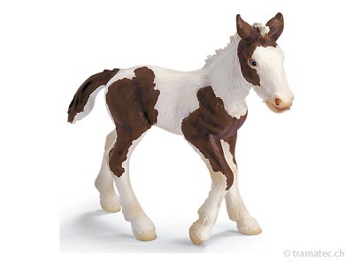 Schleich Tinker Fohlen