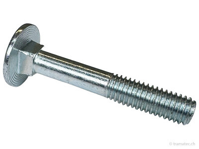 Agrinova Schlossschraube V8X50Z