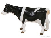 Image 1 de 2